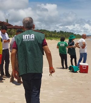 IMA investiga possível Maré Vermelha no litoral de Barra de Santo Antônio