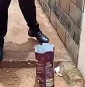 Homem é investigado por impedir alimentação de gatos comunitários