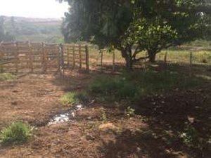Lei Municipal de Arapiraca prejudicará agricultores, diz vereador