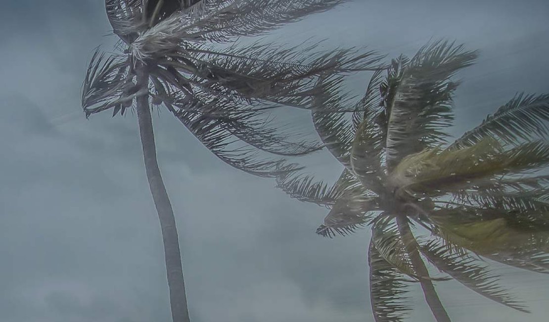 Vendaval e chuvas fortes: Alagoas entra em alerta climática até sábado (18)