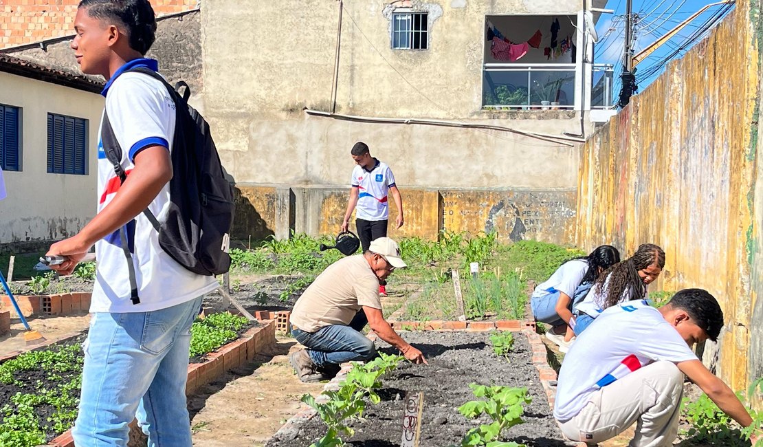 Projeto Horta nas Escolas é implantado no município de Matriz de Camaragibe