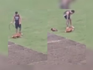 Funcionário de Centro de Equoterapia e Zooterapia é indiciado por maus-tratos contra cadela