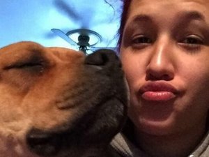Mulher encontra cão perdido em 2019 enquanto procurava outro para adoção