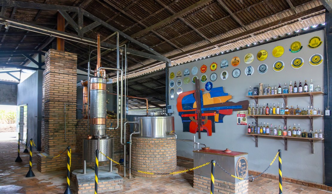 Cachaça: tradição brasileira que impulsiona turismo e empreendedorismo no Agreste