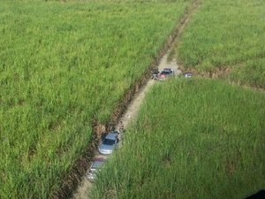 Cortador de cana é sequestrado enquanto trabalhava em canavial