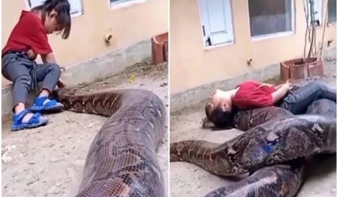 Menina viraliza ao brincar com cobra gigantesca