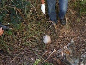 Ossada humana é encontrada próximo a condomínio de luxo em Arapiraca