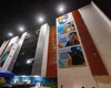 HC Pet realiza consultas e exames gratuitos para cães e gatos em Maceió