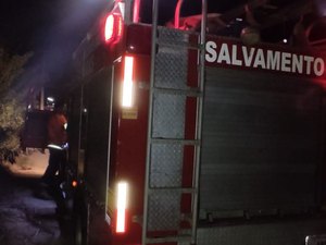 Bombeiros apagam incêndio às margens da rodovia AL 101 Norte