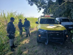 Helicóptero localiza caminhonete roubada em Messias escondida em canavial de Rio Largo