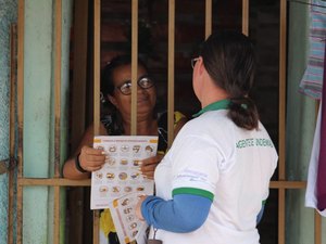 Agentes de endemias realizam mutirão contra o mosquito da dengue