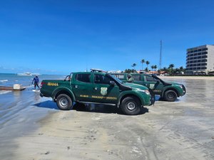 Ibama apreende embarcação de pesca irregular na Praia de Maragogi