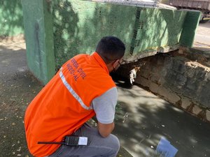 Defesa Civil de Maceió realiza vistoria em córregos e pontes do município