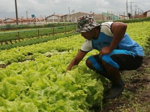 Empresas vão receber R$ 3,5 milhões para assistência técnica em Alagoas