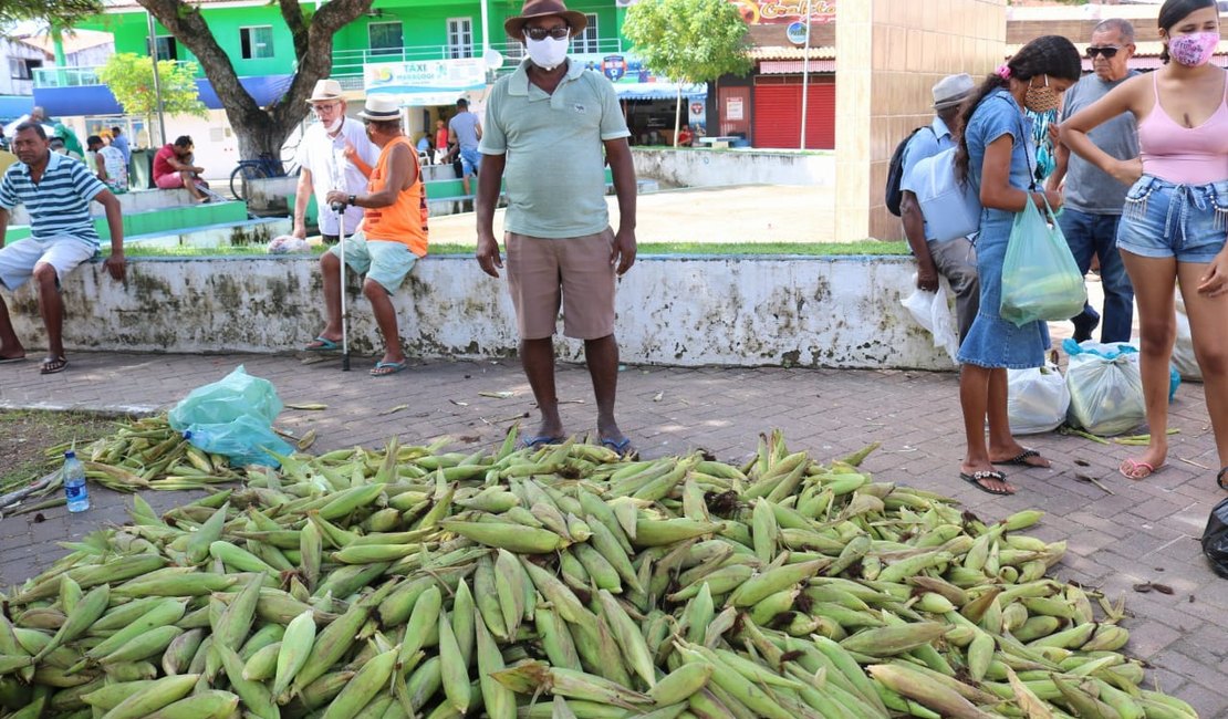 Venda de milho deixa vendedores otimistas em Maragogi