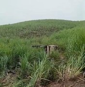 Caminhão coletor de lixo tomba às margens da rodovia AL-105 em Porto Calvo