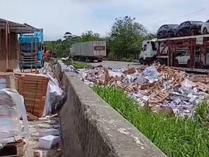 Caminhão com carga de livros tomba na BR-101 entre Messias e Flexeiras
