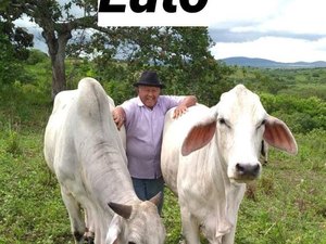 Idoso que comercializava legumes no Mercado Público de Arapiraca morre de covid-19 