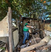 Segurança Cidadã apreende drogas e remove barracos no Vergel do Lago