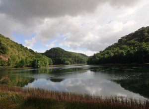 Número de reservas ambientais aumenta em Alagoas 