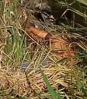 Cadáver com sinais de violência é encontrado às margens da rodovia BR-416 em Colônia Leopoldina