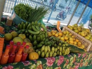 Agricultura promove 16ª edição da Feira Orgânica nesta sexta-feira (7)