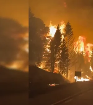 Incêndios florestais destroem 5.500 hectares na Patagônia argentina