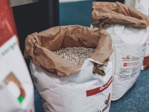 Programa Planta Alagoas terá 2ª edição lançada nesta sexta-feira (18) em Arapiraca
