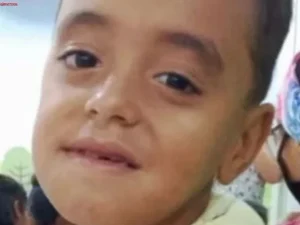 Criança de sete anos morre após levar coice de cavalo em Batalha