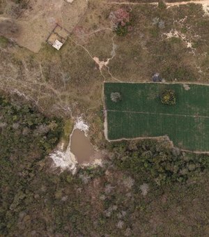 PF cumpre mandados de prisão em Alagoas contra cultivo ilegal de maconha