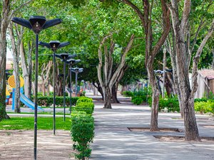 Inscrições abertas: Arapiraca sedia o XI Encontro Nordestino de Arborização Urbana em julho
