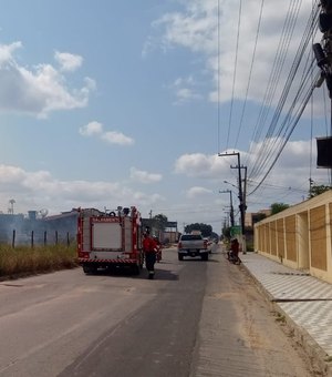[Vídeo]Bombeiros controlam incêndio em vegetação na cidade de Arapiraca