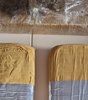 Operação apreende 6,8kg de maconha enviada por transportadoras em Maceió