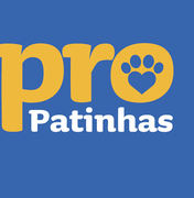 Palmeira representará o Nordeste no Programa de Manejo Populacional Ético de Cães e Gatos, coordenado pelo Ministério do Meio Ambiente