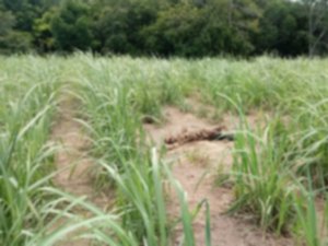 [Vídeo] Polícia conclui inquérito sobre a morte de mototaxista