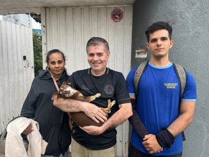 Cachorro amputado é devolvido por casal após mal-entendido em Arapiraca