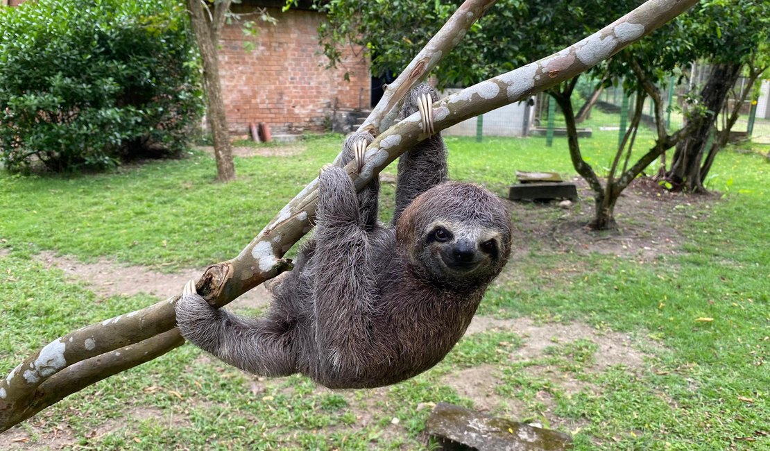 Do resgate à liberdade: veja balanço do trabalho do Cetas em 2025