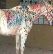 Crianças pintam e rabiscam cavalo em atividade na Hípica de Brasília