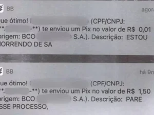 Idoso bloqueado por ex passa a importuná-la via Pix e é preso