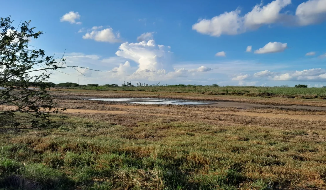 ANA aponta seca mais branda em Alagoas em fevereiro; área atingida pelo fenômeno caiu 10%