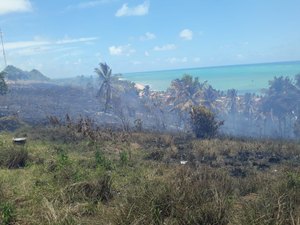 Queima de lixo provoca incêndio em vegetação em Japaratinga