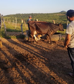 Mais de 100 famílias de agricultores são beneficiadas com programa rural em Girau do Ponciano