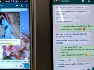 Comerciante sequestra cachorrinho de cliente, exige resgate e acaba preso