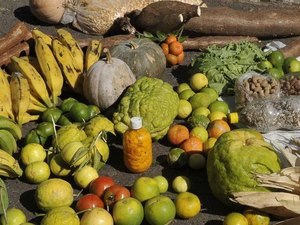 Lançamento do PAA 2020 em Alagoas será nesta sexta-feira (02)