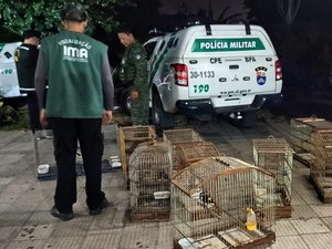 Fiscalização Preventiva Integrada resgata 34 aves silvestres em Arapiraca