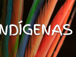 MPF recomenda que Funai adote providências assistenciais ao grupo indígena Aconã