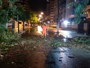 Chuva forte derruba árvore no bairro da Ponta Verde, em Maceió