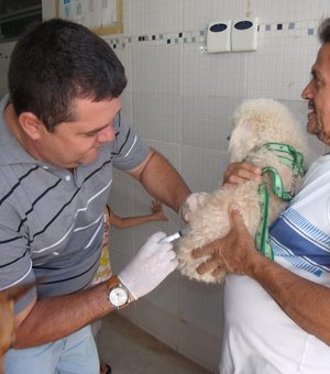 Vacinação antirrábica imuniza mais de 114 mil animais em Maceió