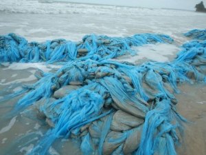 Instituto do Meio Ambiente identifica material que surgiu em praia de Ipioca