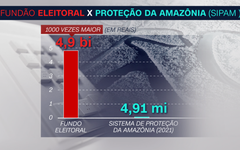 Valor destinado em 2021 ao sistema de proteção à Amazônia (SIPAM), que é voltado ao planejamento e coordenação de ações de governo na Amazônia Legal brasileira, comparado ao fundo eleitoral